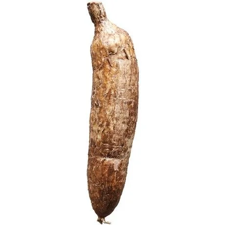 Cassava