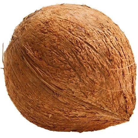 Coconut