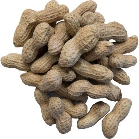 Peanut