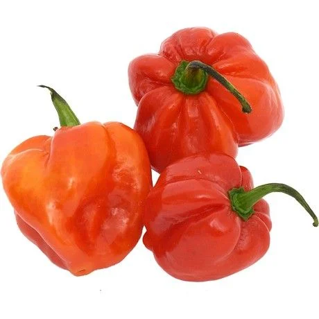Scotch Bonnet Red