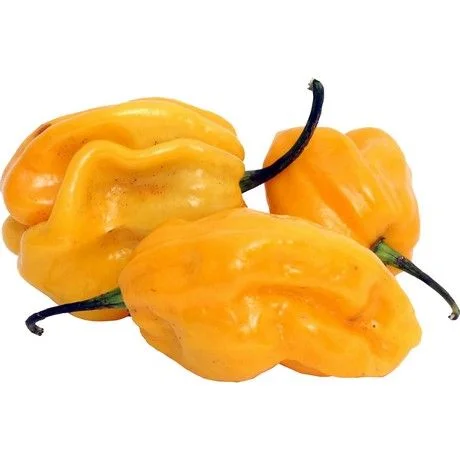 Scotch Bonnet Yellow
